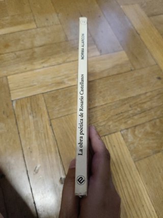 Ninfomanía: el discurso feminista en la obra poeti