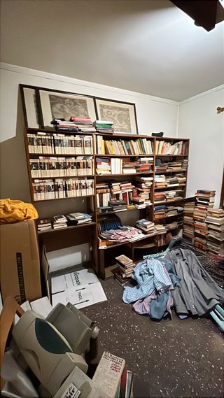 Libros GRATIS DOMINGO SANTS