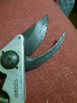 Tijeras de podar