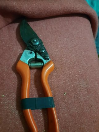 Tijeras de podar