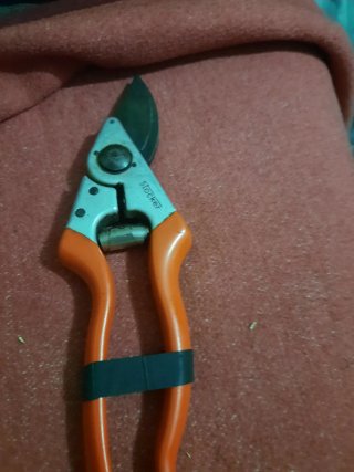 Tijeras de podar