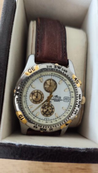 Collezione di 16 orologi
