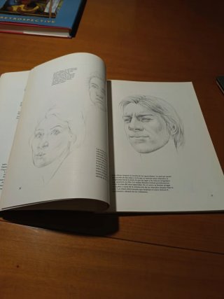 Dibujo anatómico de la cabeza humana.Louise Gordon