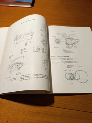 Dibujo anatómico de la cabeza humana.Louise Gordon