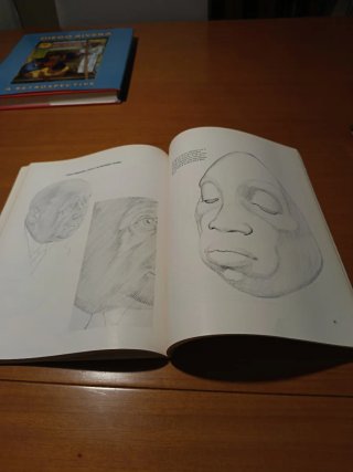 Dibujo anatómico de la cabeza humana.Louise Gordon