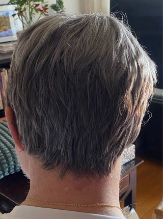 Peluca hombre pelo sintético gris