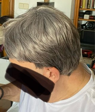 Peluca hombre pelo sintético gris