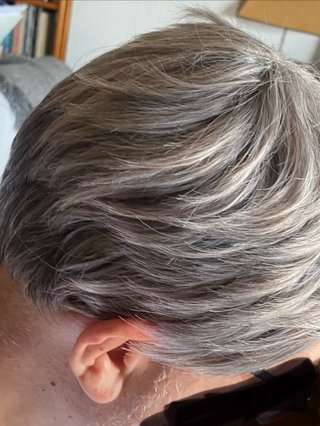 Peluca hombre pelo sintético gris
