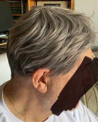 Peluca hombre pelo sintético gris