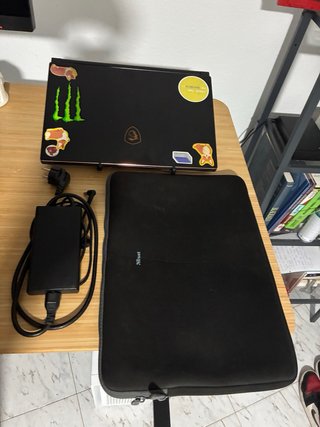 Portátil MSI GS65 Stealth Thin 8RF