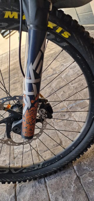 Specialized Kenevo Expert Talla S3 300 kms
