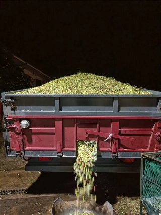 Remolque agrícola, marca Remotal 14000kg 2 ejes