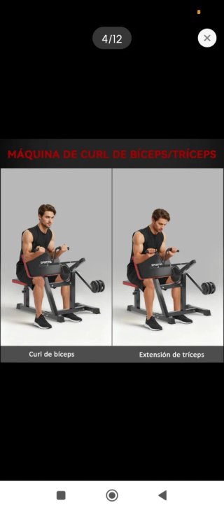 Banco de bíceps Sportnow