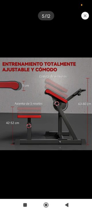 Banco de bíceps Sportnow
