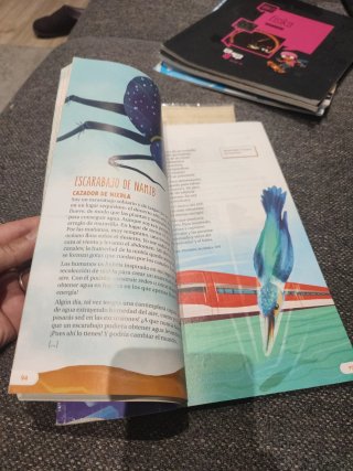 Lengua castellana y literatura 6 Primaria : Rev...