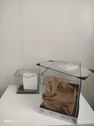 Acquari e accessori