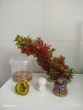 Acquari e accessori