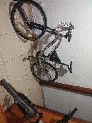 Bicicleta de montaña