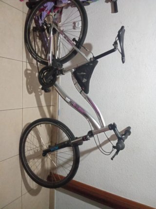 Bicicleta de montaña