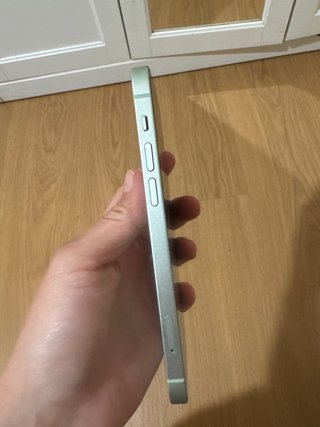 iPhone 12 Verde 256GB