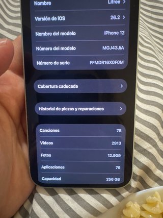 iPhone 12 Verde 256GB