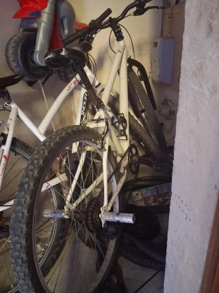 Bicicleta de montaña INDUR