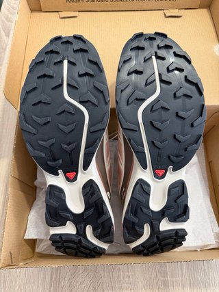 Salomon XT-6