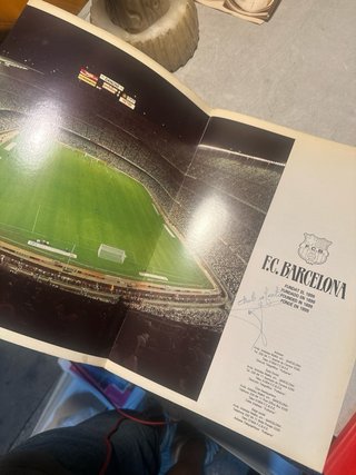 Lote cromos F.C. Barcelona L'Album del Barça