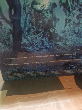 Vinilo Enya Shepherd Moons