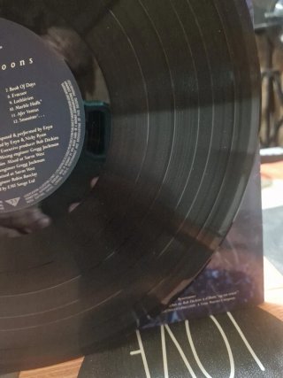 Vinilo Enya Shepherd Moons