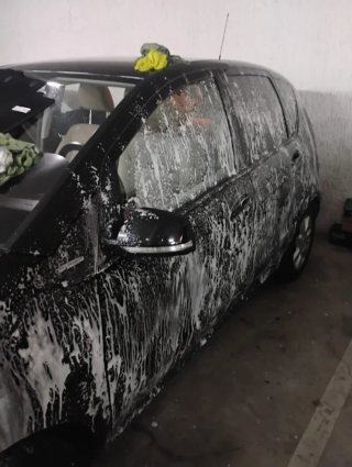 Limpieza de motor de Autos