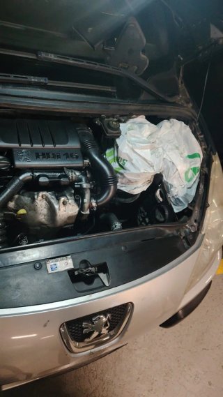 Limpieza de motor de Autos