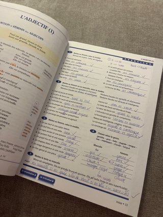 Grammaire progressive du fran{u3869}s Interm{u2...