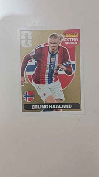 Cromo Panini Erling Haaland Extra Sticker