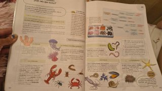 Libro
