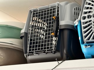 Trasportino Freedog Pick Up Deluxe 10/20