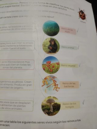 Libros 4° de Primaria, Revuela SM