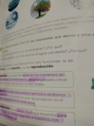 Libros 4° de Primaria, Revuela SM