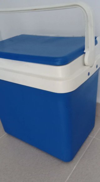 Nevera portátil