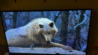 Smart TV Samsung 55 UE55KU6000K