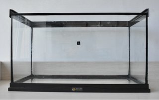 Terrario de cristal Zoo Med + accesorios completos