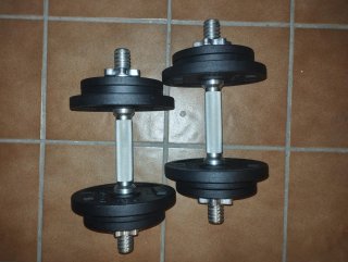 Kit entrenamiento pesas y flexiones