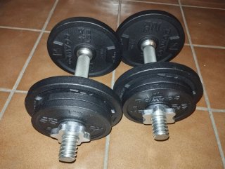 Kit entrenamiento pesas y flexiones