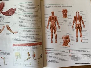 Biología y Geología 3º ESO. Libro del estudiant...
