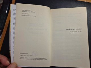Libro romanzo"La nevicata dell'85"