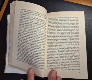 Libro romanzo"La nevicata dell'85"