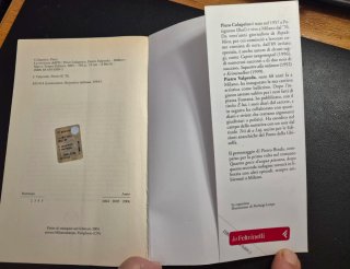 Libro romanzo"La nevicata dell'85"