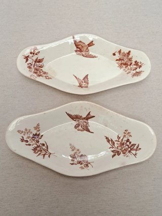 Rabaneras Longwy “Botanique” 1893