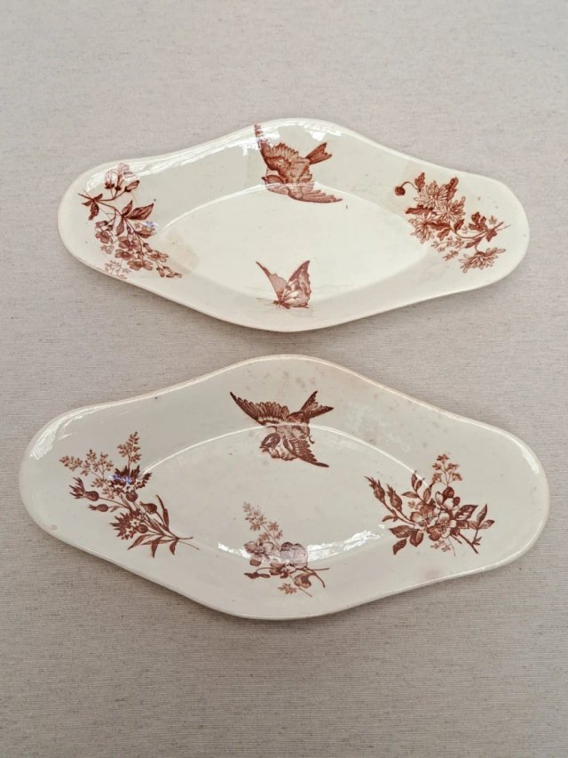 Rabaneras Longwy “Botanique” 1893