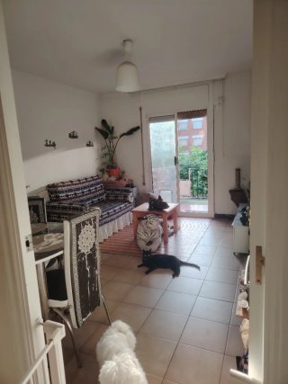 Alquiler de habitación en piso de 3 habitación